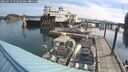 ./images/quadra/hbidock/20250727/hbidock20250727_092010M.jpg
