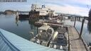 ./images/quadra/hbidock/20250727/hbidock20250727_093011M.jpg