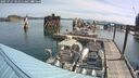 ./images/quadra/hbidock/20250727/hbidock20250727_101511M.jpg