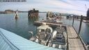 ./images/quadra/hbidock/20250727/hbidock20250727_102510M.jpg
