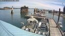 ./images/quadra/hbidock/20250727/hbidock20250727_111010M.jpg