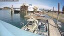./images/quadra/hbidock/20250727/hbidock20250727_133500M.jpg