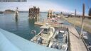 ./images/quadra/hbidock/20250727/hbidock20250727_140509M.jpg