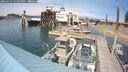 ./images/quadra/hbidock/20250727/hbidock20250727_152000M.jpg