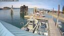 ./images/quadra/hbidock/20250727/hbidock20250727_155000M.jpg
