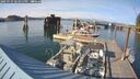 ./images/quadra/hbidock/20250727/hbidock20250727_181011M.jpg
