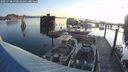 ./images/quadra/hbidock/20250728/hbidock20250728_070509M.jpg