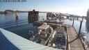 ./images/quadra/hbidock/20250728/hbidock20250728_080009M.jpg