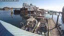 ./images/quadra/hbidock/20250728/hbidock20250728_082000M.jpg