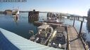 ./images/quadra/hbidock/20250728/hbidock20250728_083000M.jpg