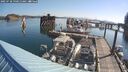 ./images/quadra/hbidock/20250728/hbidock20250728_090012M.jpg
