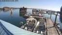 ./images/quadra/hbidock/20250728/hbidock20250728_091000M.jpg