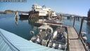 ./images/quadra/hbidock/20250728/hbidock20250728_102000M.jpg