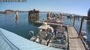 ./images/quadra/hbidock/20250728/hbidock20250728_102500M.jpg