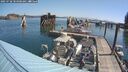 ./images/quadra/hbidock/20250728/hbidock20250728_103000M.jpg