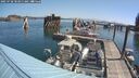 ./images/quadra/hbidock/20250728/hbidock20250728_103010M.jpg
