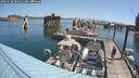 ./images/quadra/hbidock/20250728/hbidock20250728_104510M.jpg