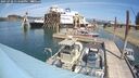 ./images/quadra/hbidock/20250728/hbidock20250728_134500M.jpg