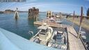 ./images/quadra/hbidock/20250728/hbidock20250728_140011M.jpg