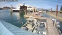 ./images/quadra/hbidock/20250728/hbidock20250728_154500M.jpg