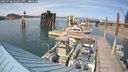 ./images/quadra/hbidock/20250728/hbidock20250728_163012M.jpg