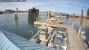 ./images/quadra/hbidock/20250728/hbidock20250728_163500M.jpg
