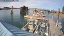 ./images/quadra/hbidock/20250728/hbidock20250728_171008M.jpg