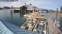 ./images/quadra/hbidock/20250728/hbidock20250728_171500M.jpg