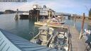 ./images/quadra/hbidock/20250728/hbidock20250728_172500M.jpg