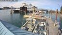 ./images/quadra/hbidock/20250728/hbidock20250728_172509M.jpg
