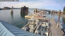 ./images/quadra/hbidock/20250728/hbidock20250728_173509M.jpg