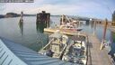 ./images/quadra/hbidock/20250728/hbidock20250728_174500M.jpg