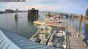 ./images/quadra/hbidock/20250728/hbidock20250728_175011M.jpg