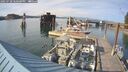 ./images/quadra/hbidock/20250728/hbidock20250728_180500M.jpg