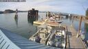 ./images/quadra/hbidock/20250728/hbidock20250728_180510M.jpg