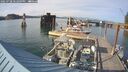 ./images/quadra/hbidock/20250728/hbidock20250728_182009M.jpg