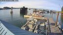 ./images/quadra/hbidock/20250728/hbidock20250728_185000M.jpg