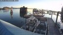 ./images/quadra/hbidock/20250729/hbidock20250729_070500M.jpg