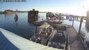 ./images/quadra/hbidock/20250729/hbidock20250729_073000M.jpg