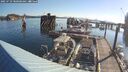 ./images/quadra/hbidock/20250729/hbidock20250729_080000M.jpg