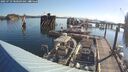 ./images/quadra/hbidock/20250729/hbidock20250729_080509M.jpg
