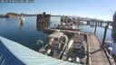 ./images/quadra/hbidock/20250729/hbidock20250729_084011M.jpg