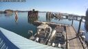 ./images/quadra/hbidock/20250729/hbidock20250729_085011M.jpg