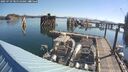 ./images/quadra/hbidock/20250729/hbidock20250729_085510M.jpg