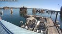 ./images/quadra/hbidock/20250729/hbidock20250729_092500M.jpg