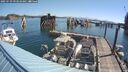 ./images/quadra/hbidock/20250729/hbidock20250729_093510M.jpg