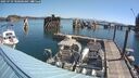 ./images/quadra/hbidock/20250729/hbidock20250729_100000M.jpg