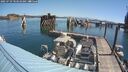 ./images/quadra/hbidock/20250729/hbidock20250729_103509M.jpg