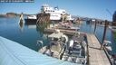 ./images/quadra/hbidock/20250729/hbidock20250729_120000M.jpg