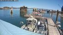 ./images/quadra/hbidock/20250729/hbidock20250729_122011M.jpg